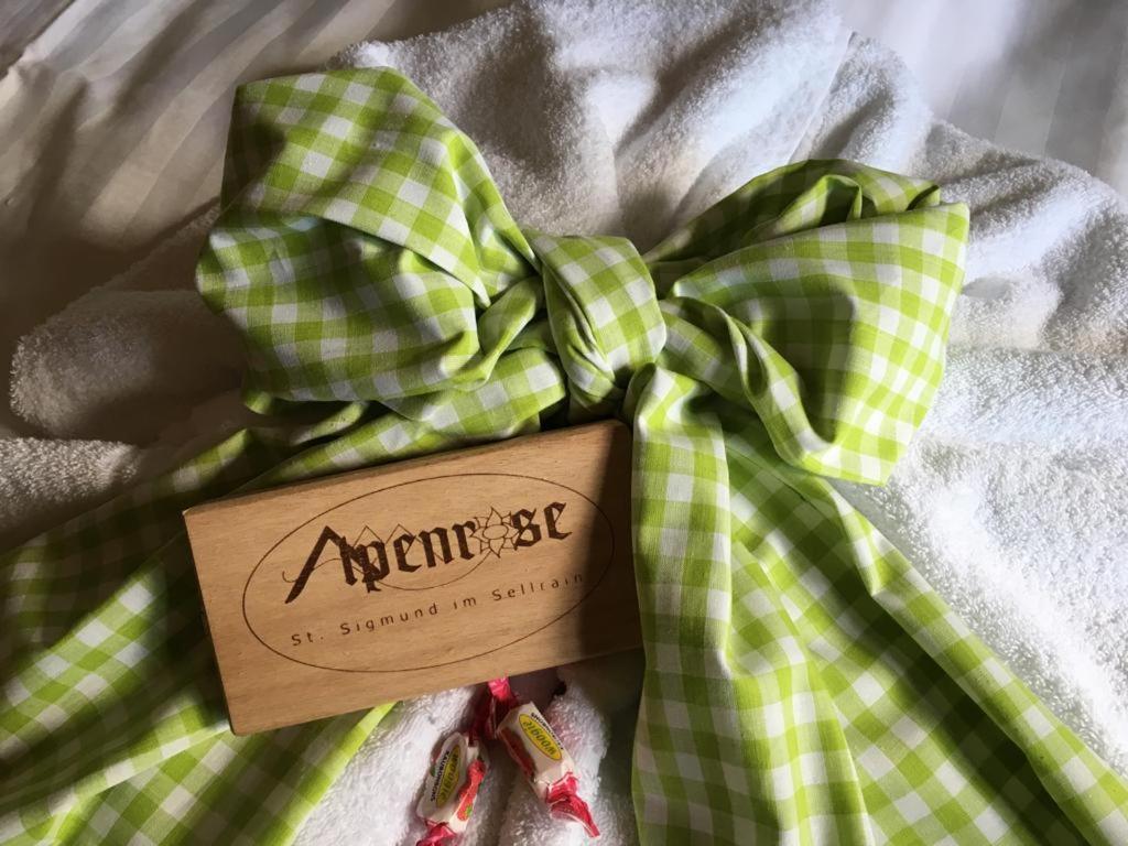Pension Alpenrose Sankt Sigmund im Sellrain Extérieur photo